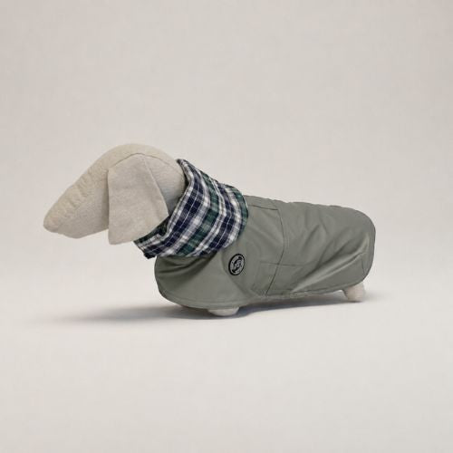 Chubasquero Tintin Green