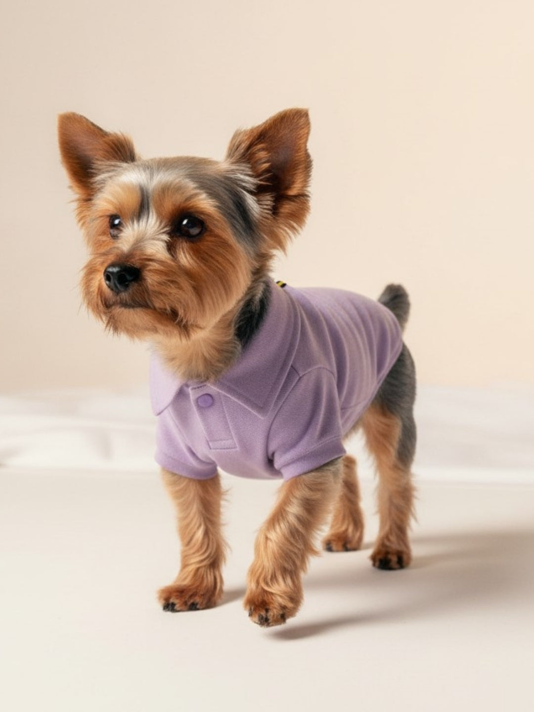 Polo Clássico Roxo