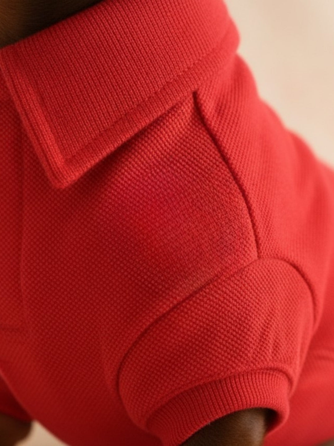 Polo Vermelho Clássico