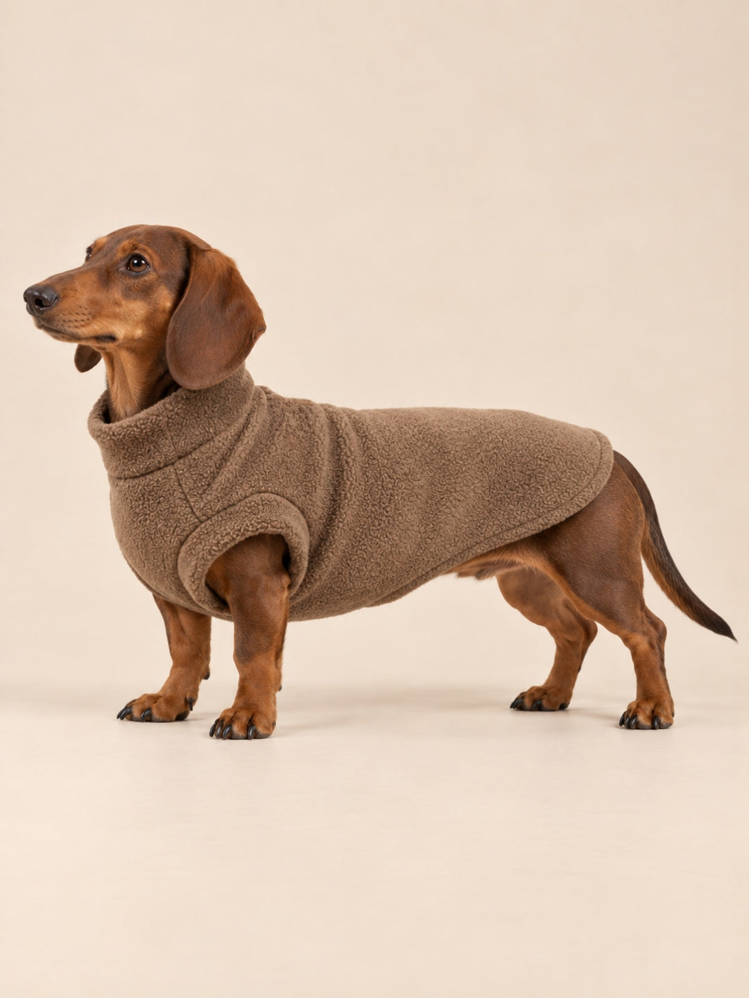 Abrigo polar Alaska Brown