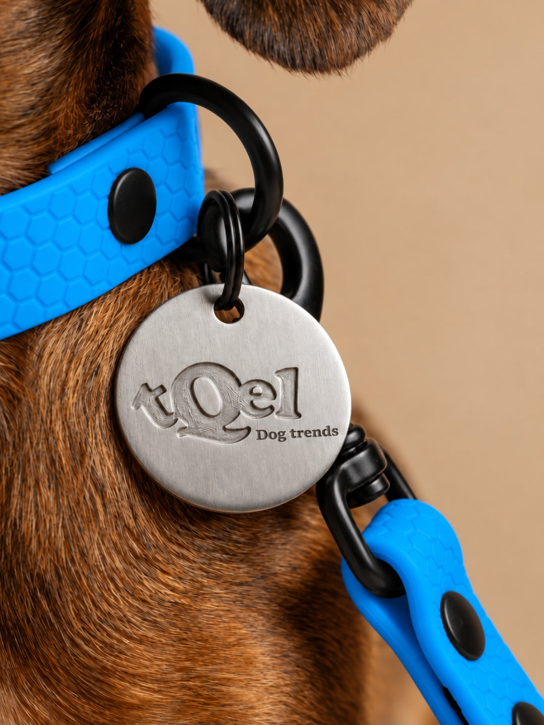 Collar para perros