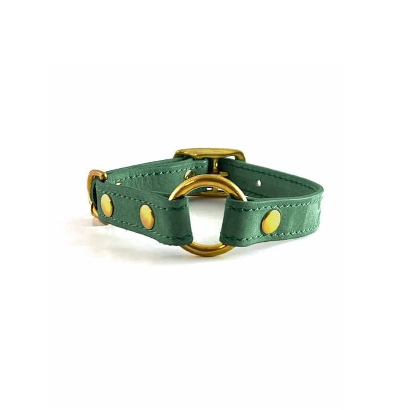 Collar de nobuck Forester