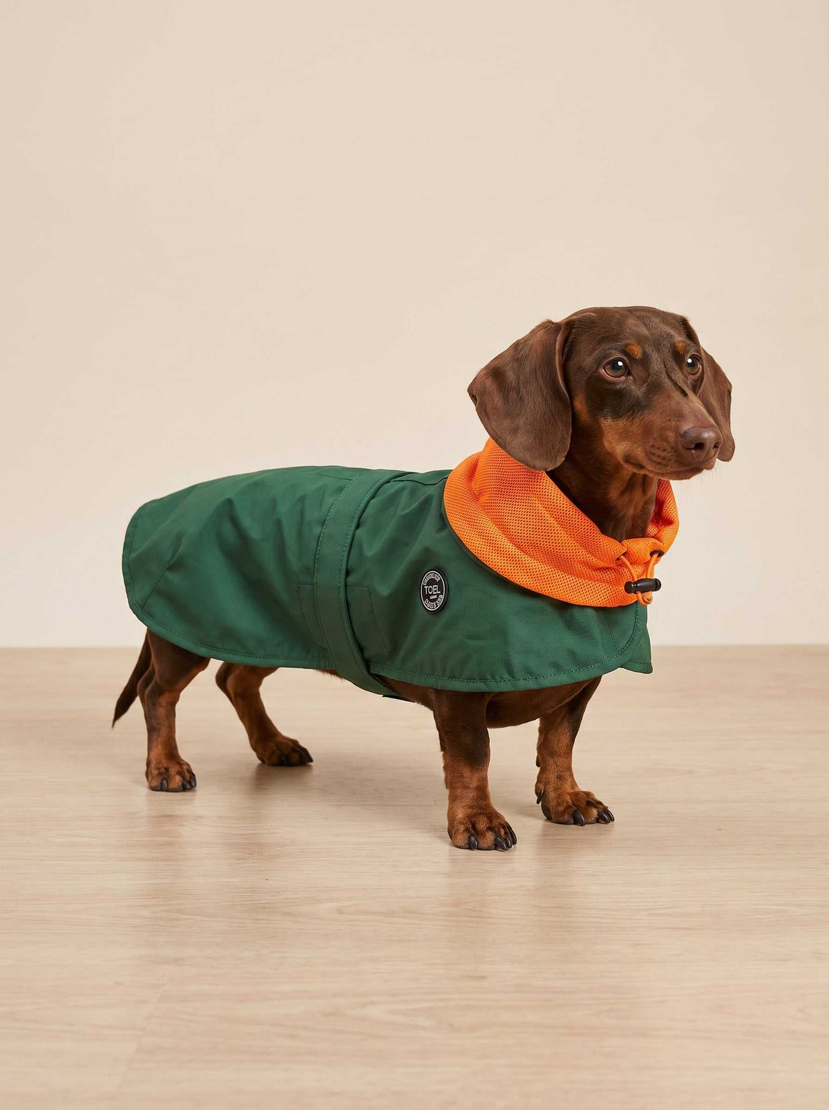 Chubasquero Tintin Air Green