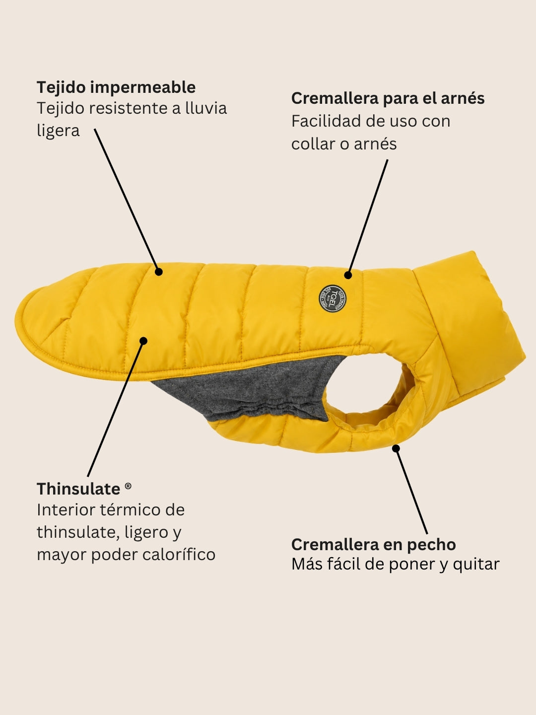 Plumas Artic Gold