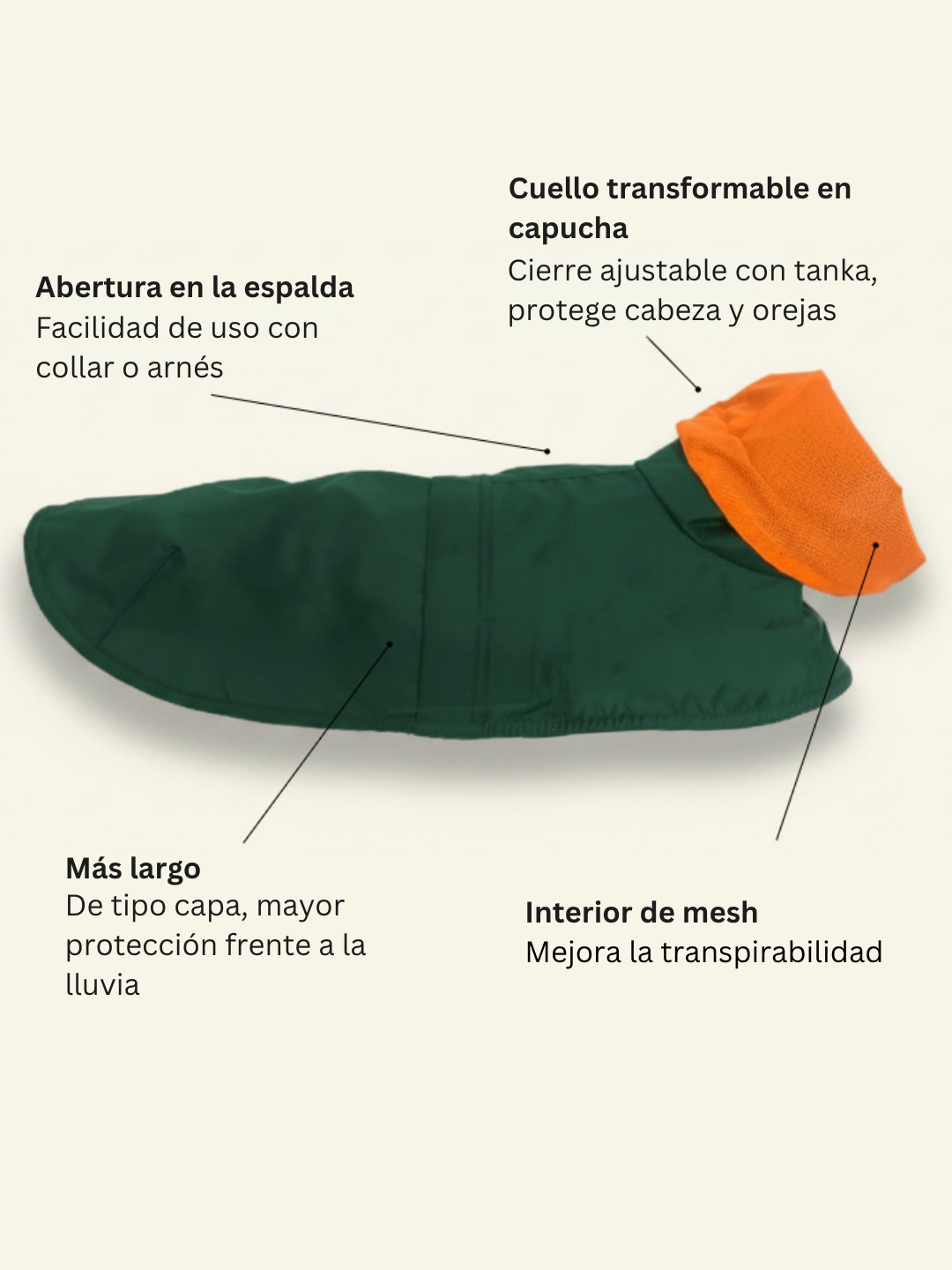 Chubasquero Tintin Air Green