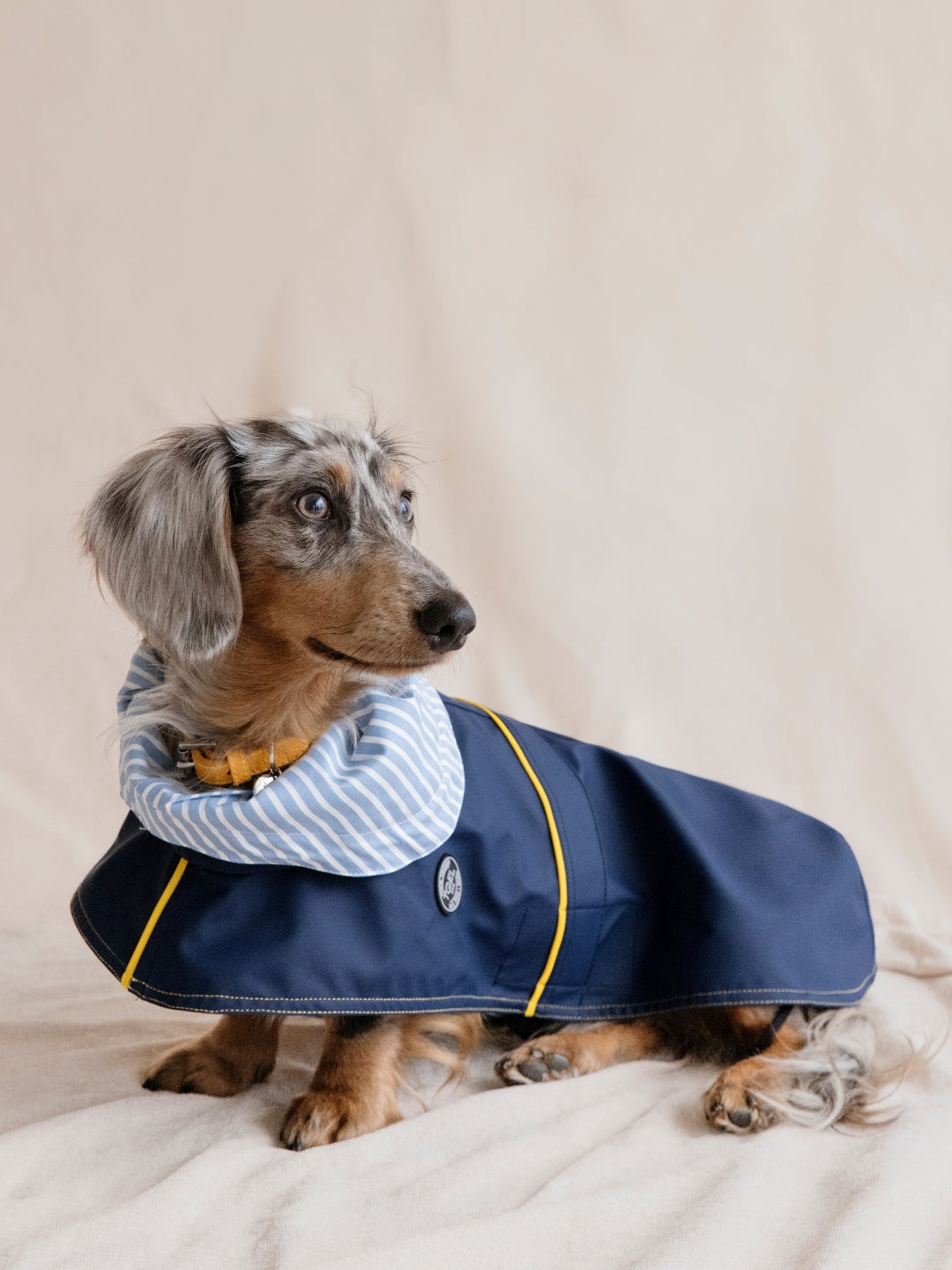 Chubasquero Tintin Blue