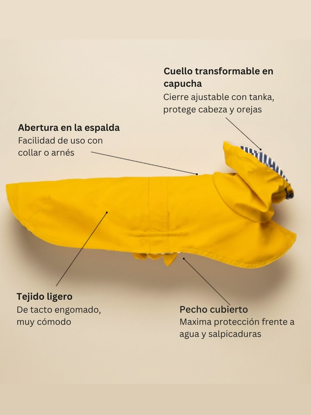 chubasquero para perros