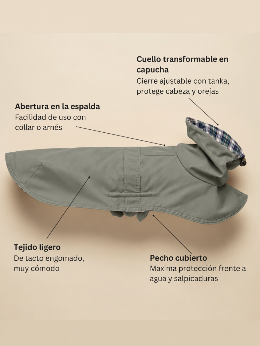 Gabardine Tintin Caqui