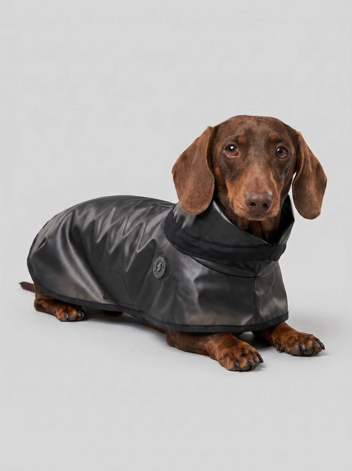 Chubasquero Tintin Zero Black
