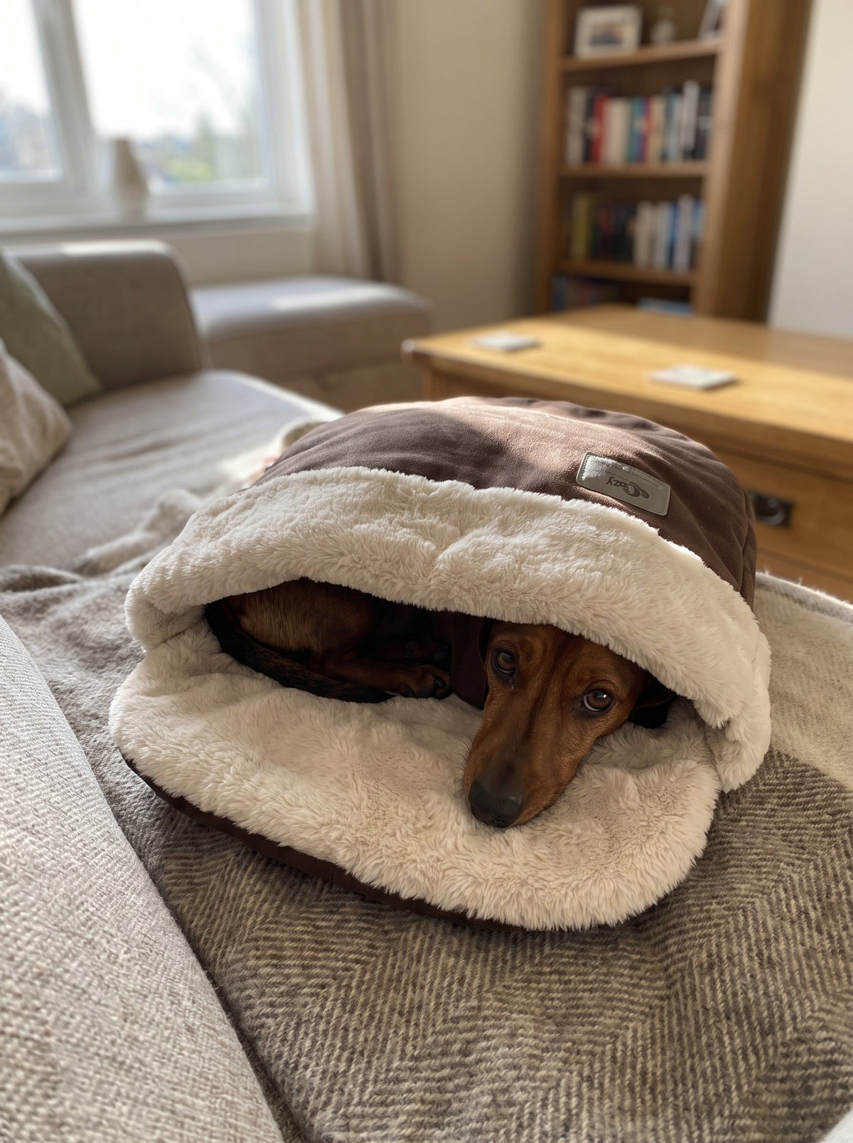 Snoozy bags