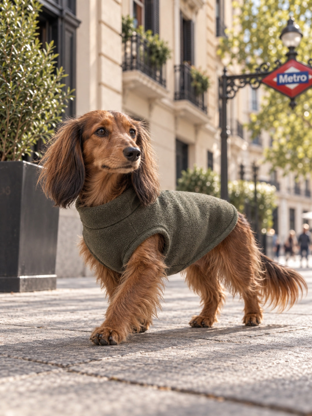 Abrigo polar Alaska Green