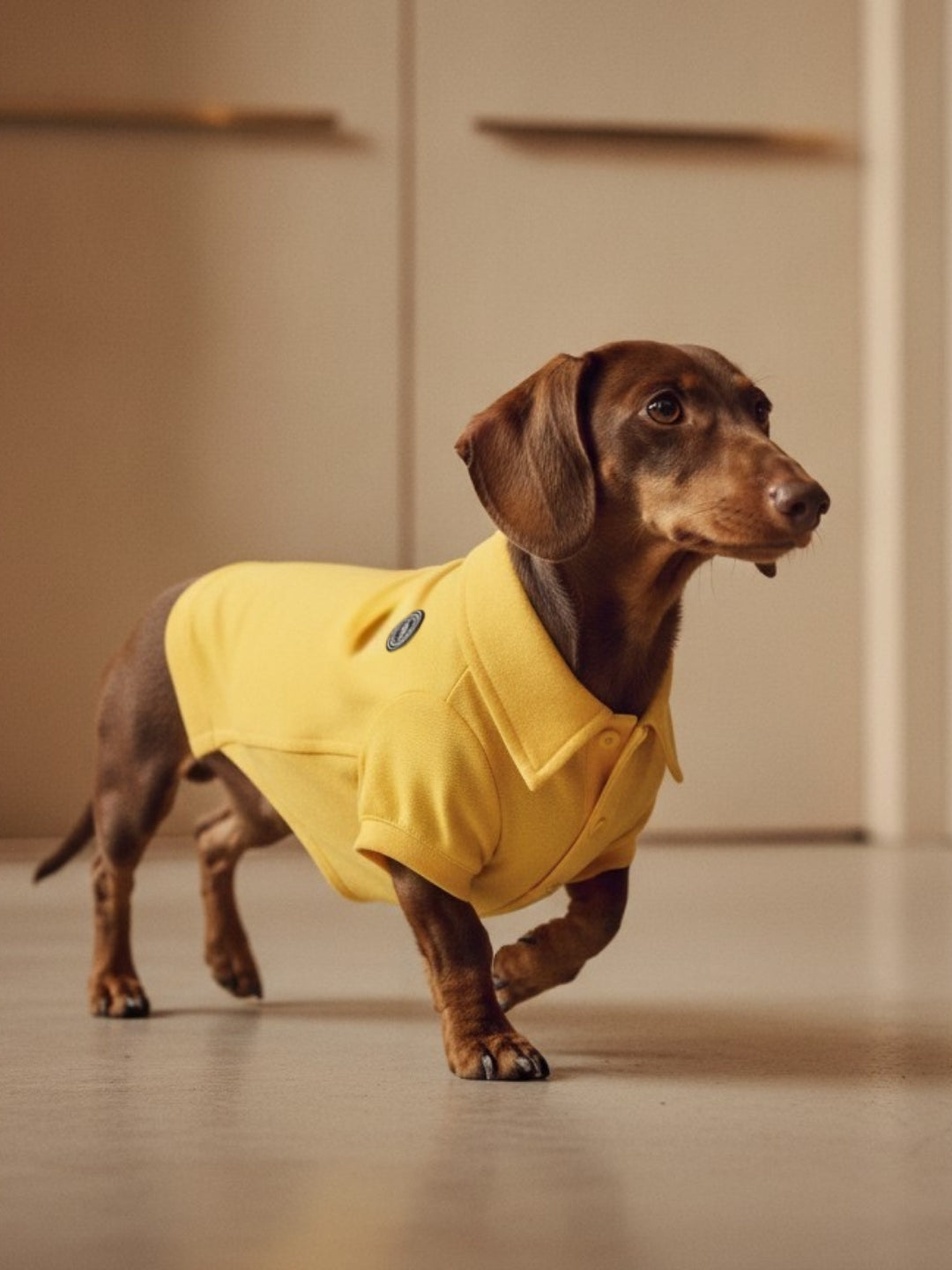 Polo Clássico Amarelo
