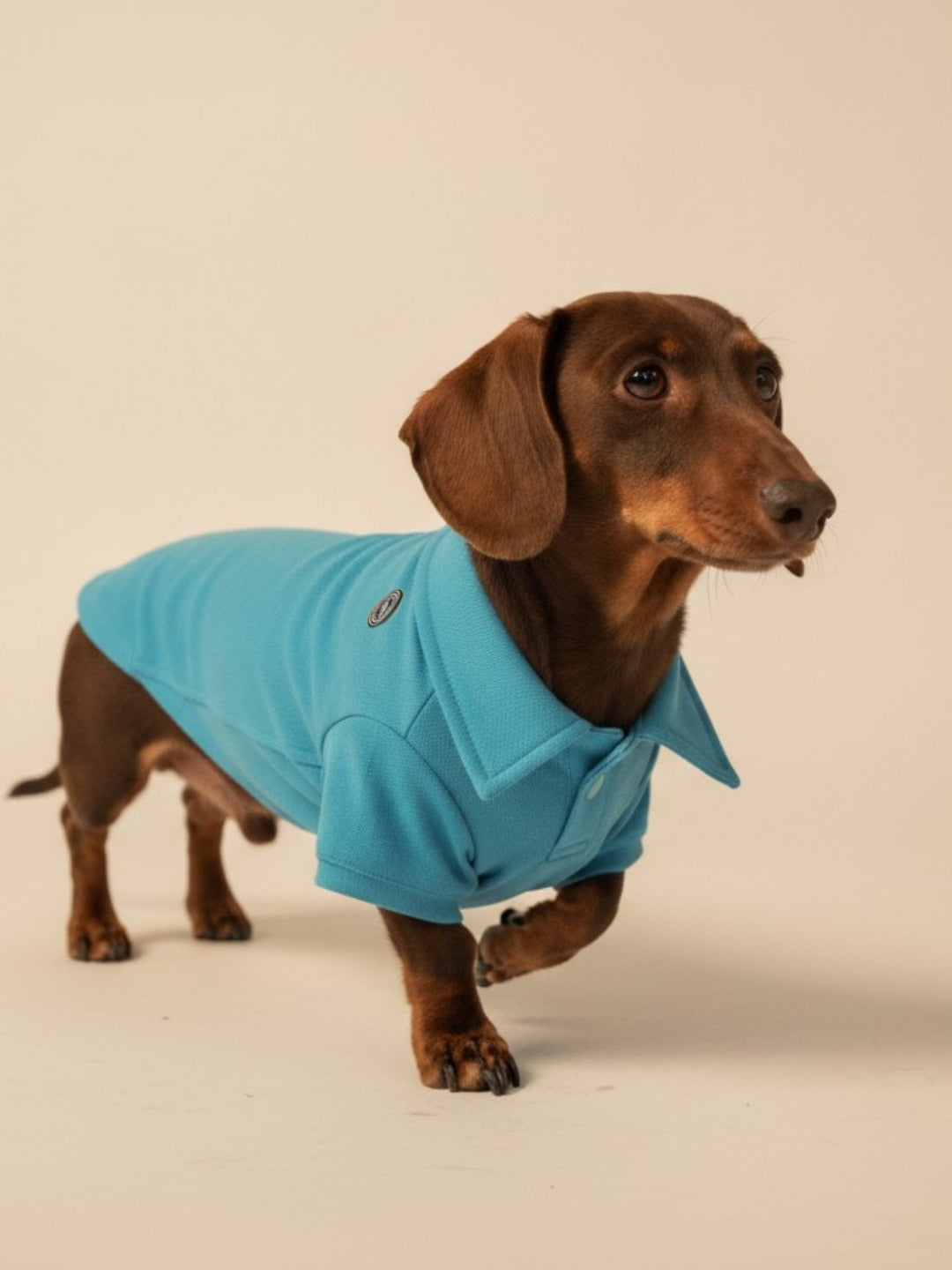 Polo Classic Azul
