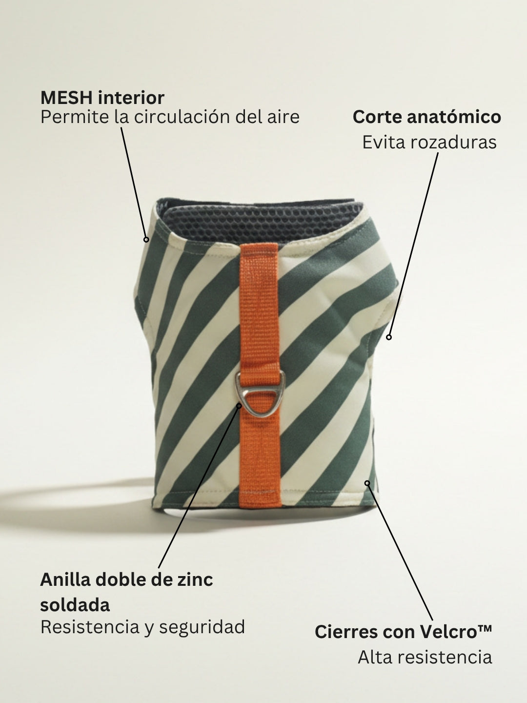 arnes para perros lisboa