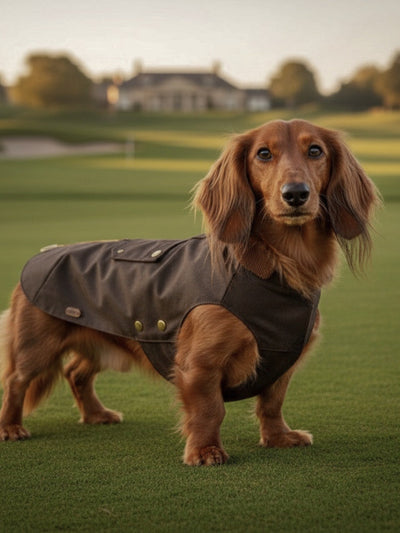 Abrigo tipo Barbour Brown