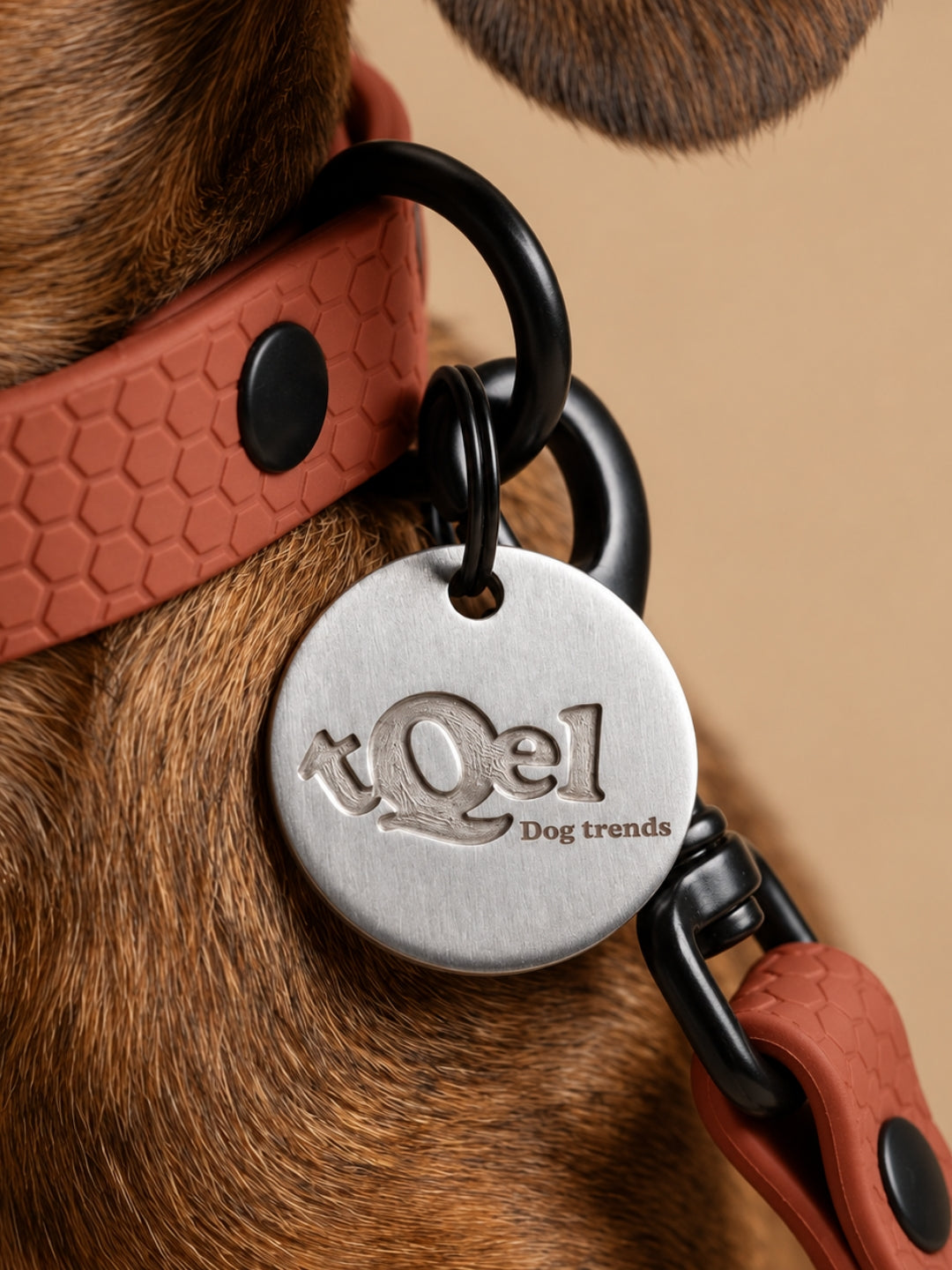 Collar impermeable para perros