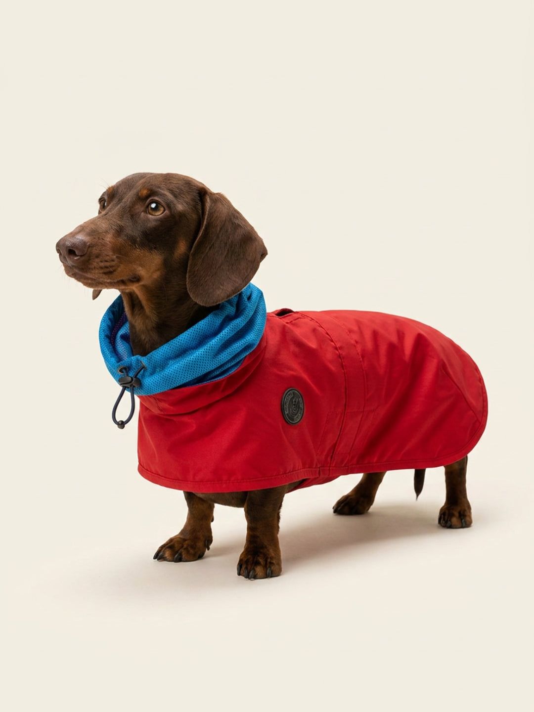 chubasquero para perros