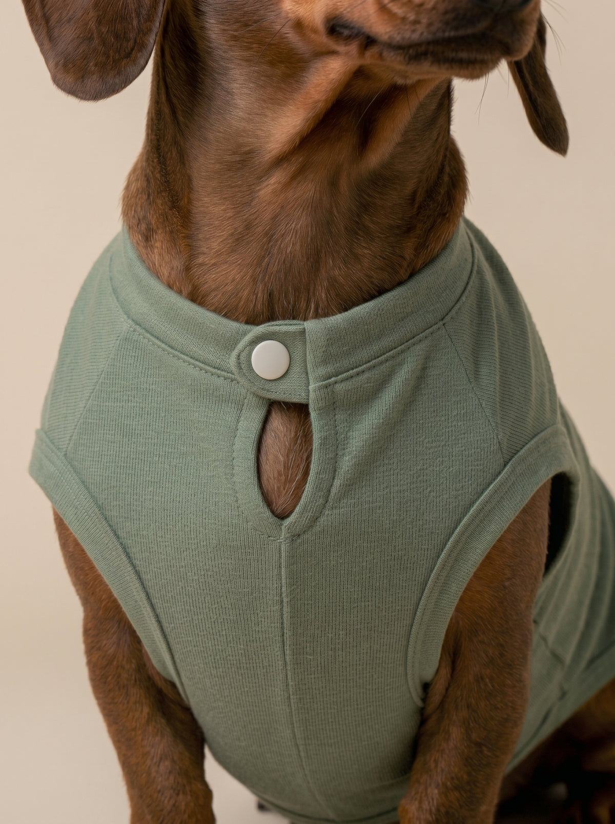 Camiseta Organic Green