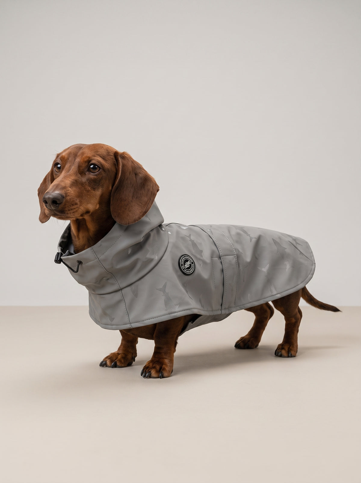 chubasquero para perros