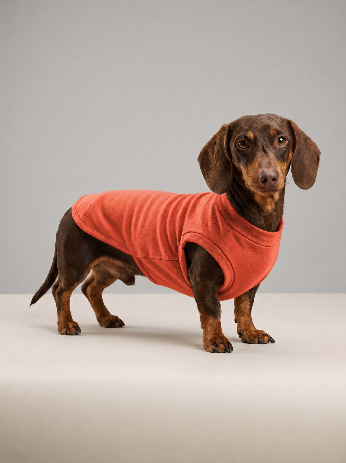 Chaqueta de punto Hudson Coral