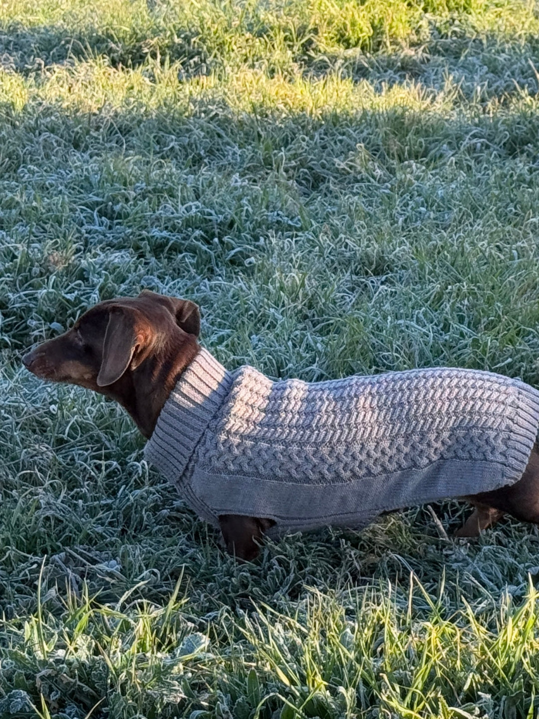 sweater de lana para perros
