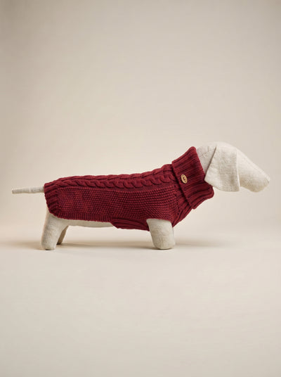 Jersey de merino James Burgundy