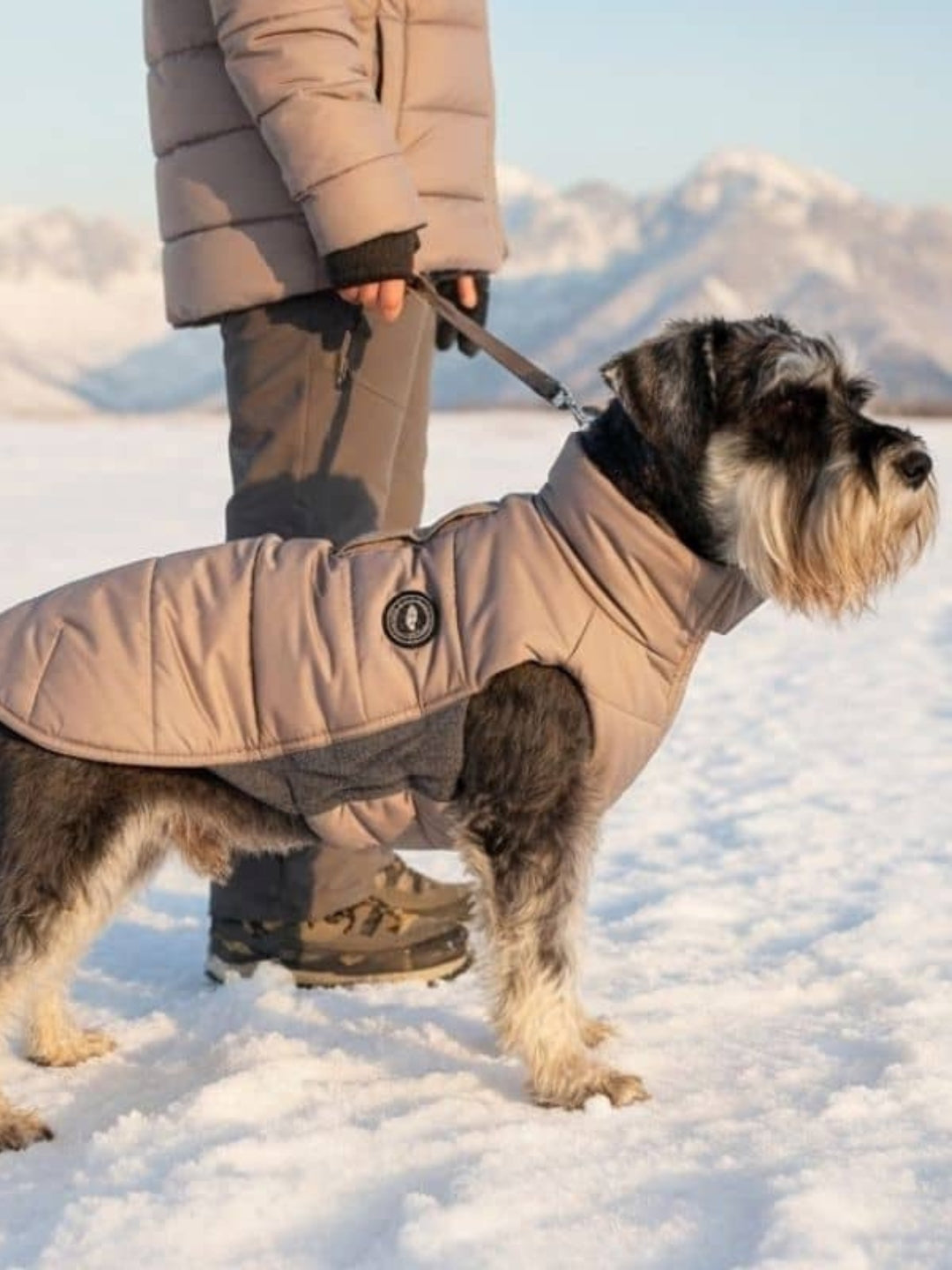 Plumas Artic Taupe