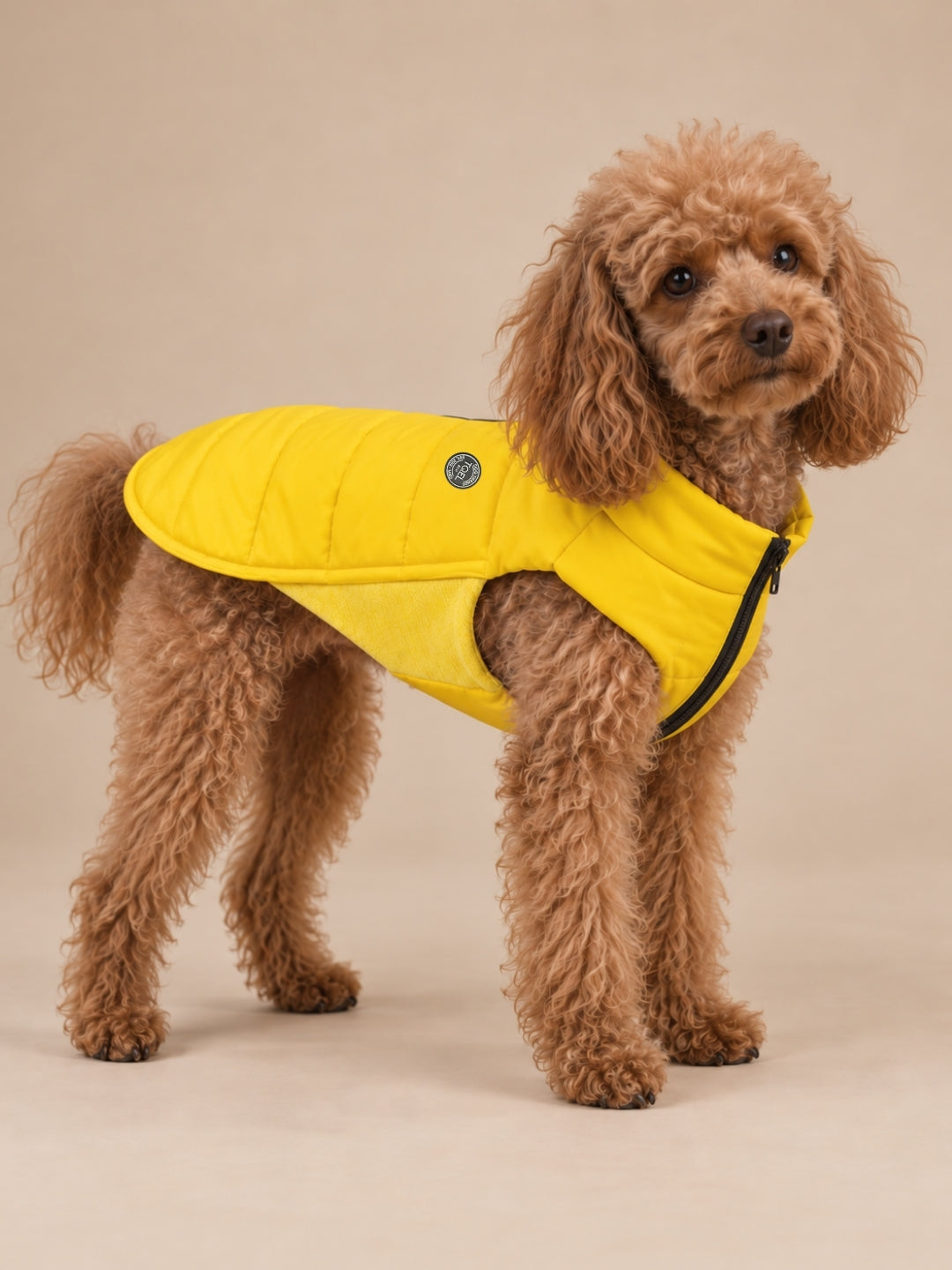 Plumas Artic Yellow