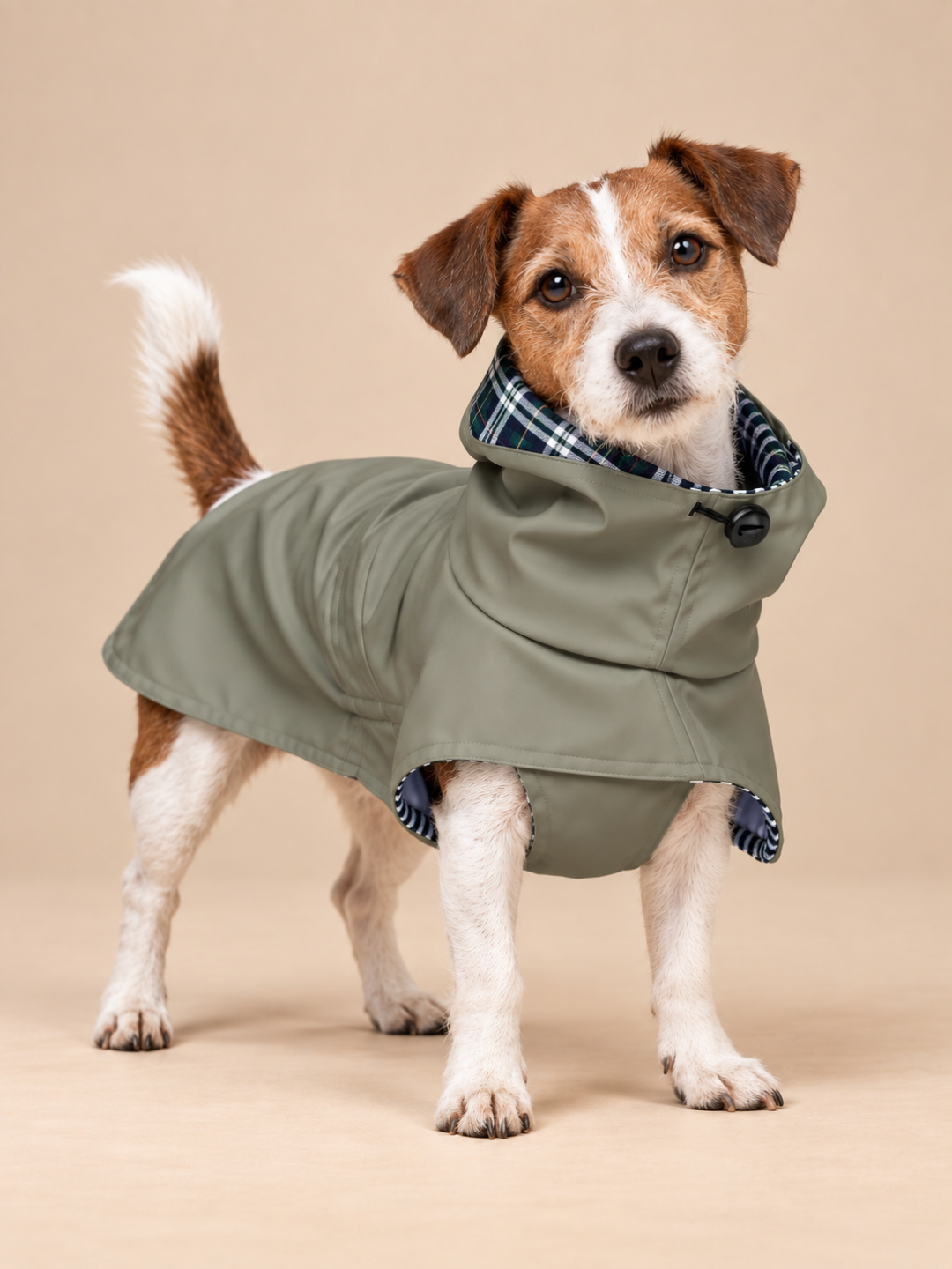 Gabardine Tintin Caqui