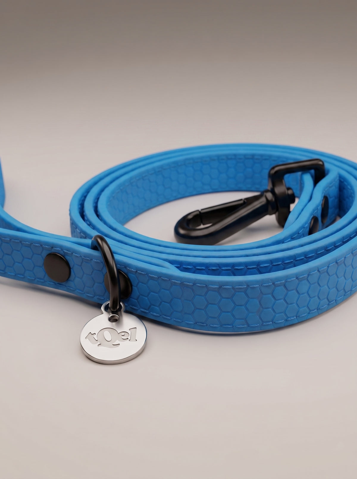 Correa azul para perros
